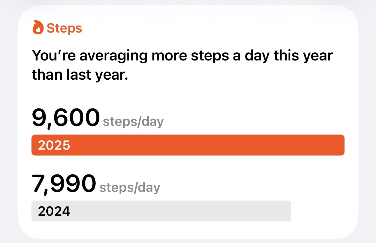 2025 steps year over year